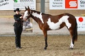 22-APHA HOTC_032
